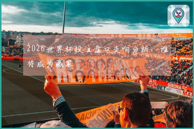 2026世界杯投注盘口走向分析，谁将成为赢家