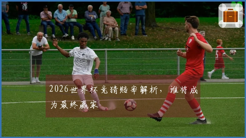 2026世界杯竞猜赔率解析，谁将成为最终赢家
