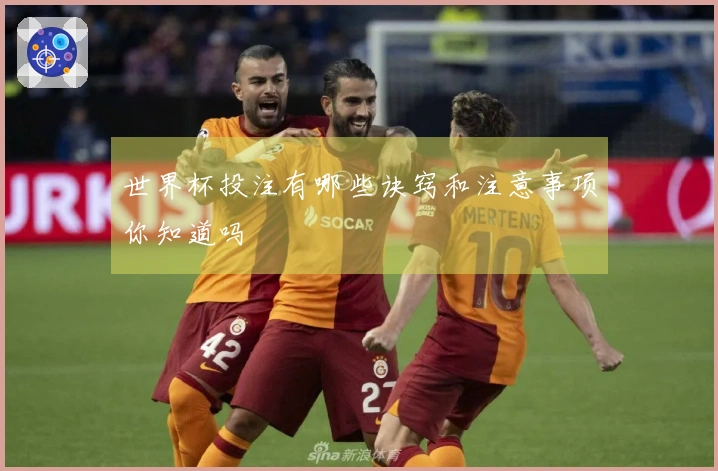 世界杯投注有哪些诀窍和注意事项你知道吗