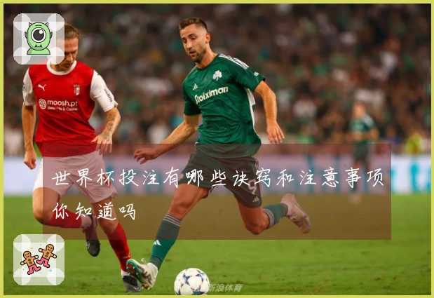 世界杯投注有哪些诀窍和注意事项你知道吗