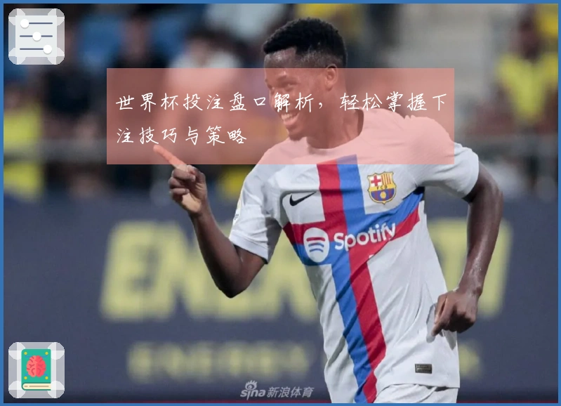 世界杯投注盘口解析，轻松掌握下注技巧与策略