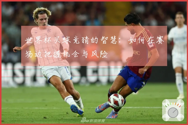世界杯买球竞猜的智慧：如何在赛场边把握机会与风险
